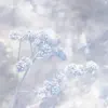 falling snow on a silent night