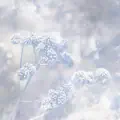 a path between the clouds
