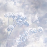 a path between the clouds