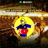 Fenerin Çocukları - Ne Sevmek Ne Sevilmek-Fenerbahçe artwork