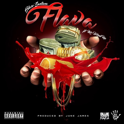 Flava (feat. Mr Wired Up) - Single
