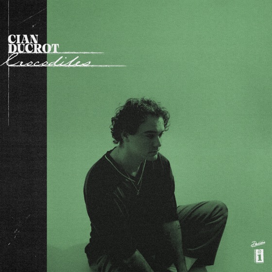 Cover artwork for Crocodiles