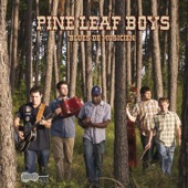 Pine Leaf Boys - Zydeco gris-gris