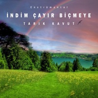 İndim Çayır Biçmeye - Single - Tarık Kavut