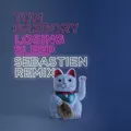 Losing Sleep (Sebastien Remix)
