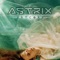 Monster - Astrix & Infected Mushroom lyrics
