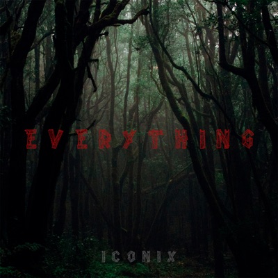 ICONIX - Everything