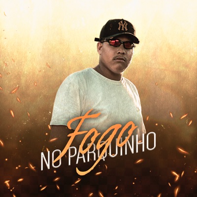 Fogo no Parquinho - Single