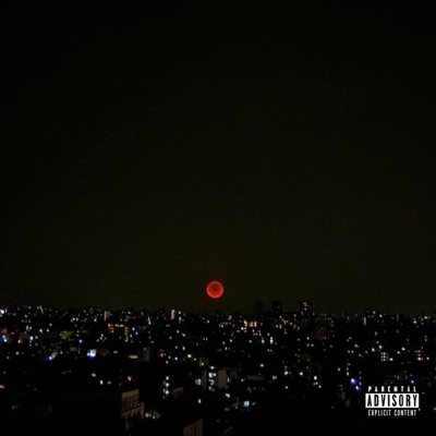 Fly Forever - Single