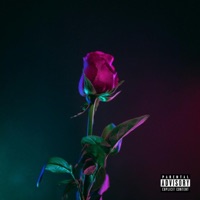 Luv Drug (feat. $tVO) - Single - Dj Raynge