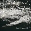 Weave