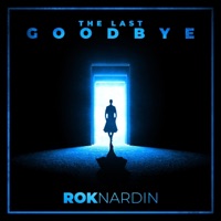 The Last Goodbye - Single - Rok Nardin