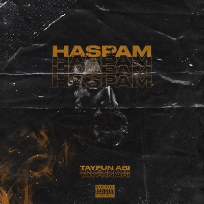 Haspam - Single