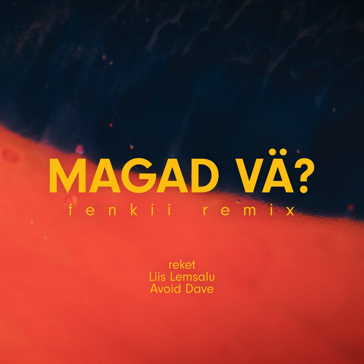 Magad vä? (fenkii remix) [feat. Liis Lemsalu & Avoid Dave] - Single by  Reket & fenkii on Apple Music