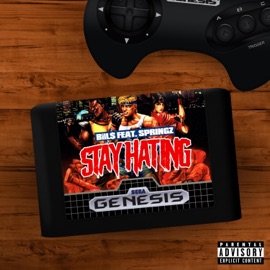 Stay Hating (feat. Springz) Bill$