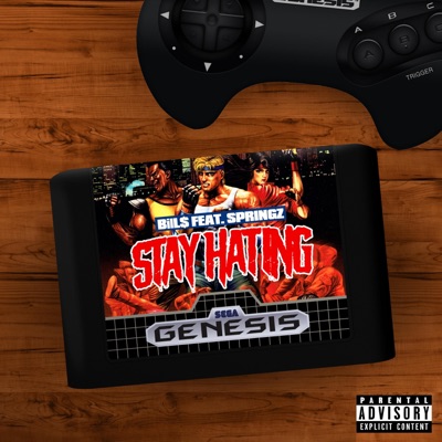 Stay Hating (feat. Springz) - Single