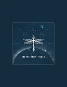 Listen to The Non Violinist Project, watch music videos, read bio, see tour dates & more!