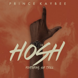 Hosh (feat. Sir Trill) - Single
