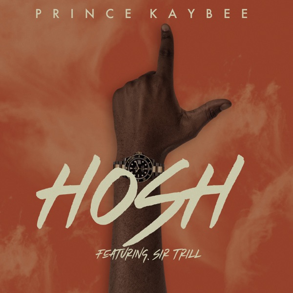 Hosh (feat. Sir Trill) - Single