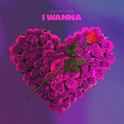 I Wanna - Single