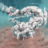 Flyboy$ (feat. Elezeta, Derish, DcMay & MYK) - Single - Alarcos