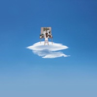 Growing Panes - Kieferro