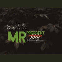 Mr President (feat. The Man & Malikamusiq) - Single - Beatmochini