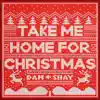 Take Me Home For Christmas