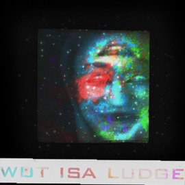 Leansergic Acid Diethlyamudd Ludge