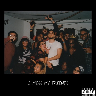 I Miss My Friends (feat. Haku Leaf) - Single