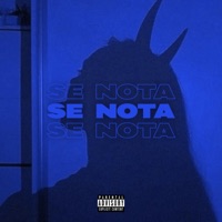 Se Nota - Single - Mdmoney & AMEX