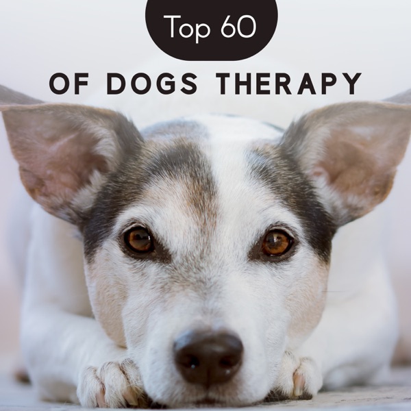 Top 60 of Dogs Therapy: Lullabies for Puppies