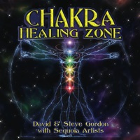 Chakra Healing Zone - David & Steve Gordon