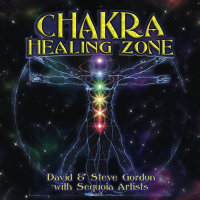 Chakra Healing Zone