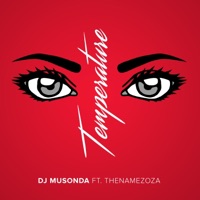 Temperature (feat. ThenameZoza) - Single - DJ Musonda