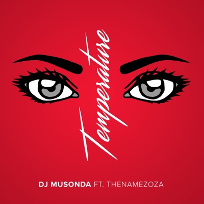 Temperature (feat. ThenameZoza) - Single