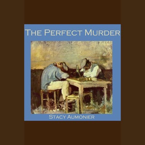 The Perfect Murder