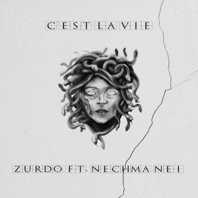 C'est la vie (feat. Nei) - Single