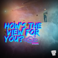 How's The View For You? - Single - Pluto Hann