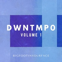 Dwntmpo, Vol. 1 - Bigfootinyourface