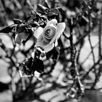 Breathe - Single - JordyPurp