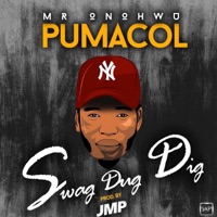Swag Dug Dig (feat. Pumacol) - Single - Ngoma Republic