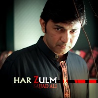 Har Zulm Tera Yaad Hai - Single - Sajjad Ali