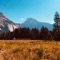 Kings Canyon and Sequoia - McCoy lyrics