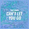 Josef Bamba - Can't Let You Go