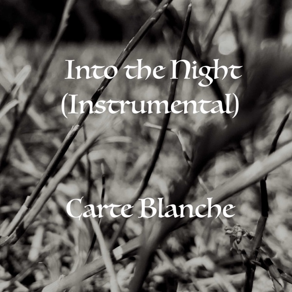 Into the Night (Instrumental)