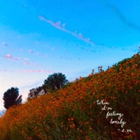 When I'm Feeling Lonely - Epiphany Monet