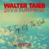 On the Top of the World by Walter Taieb, Diva Surprise, Ymca iTunes Track 1