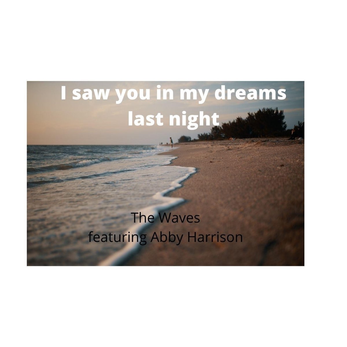 I saw you in my dream