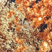 In the Fall - EP artwork